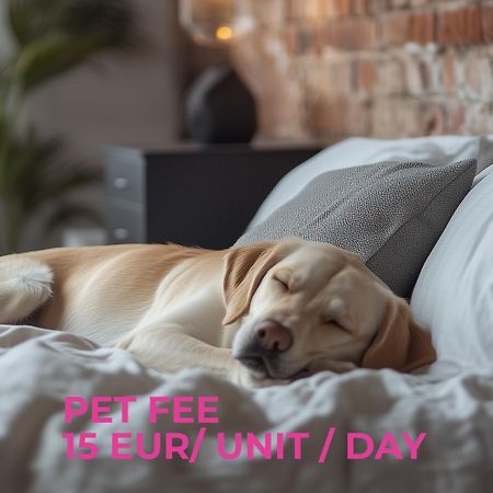 Cute Apartment Siauliai Free Parking Экстерьер фото